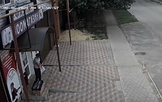 Так и появляются стаи: каменские соцсети всколыхнуло сообщение о брошенных щенках