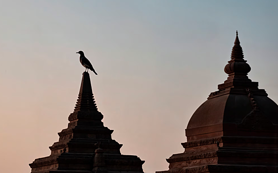 С 1 февраля новосибирцы будут свободно летать в город-побратим Мандалай