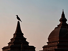 С 1 февраля новосибирцы будут свободно летать в город-побратим Мандалай