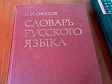 Лингвисты предложили «убраться» в русском языке и ввести один стандарт на все