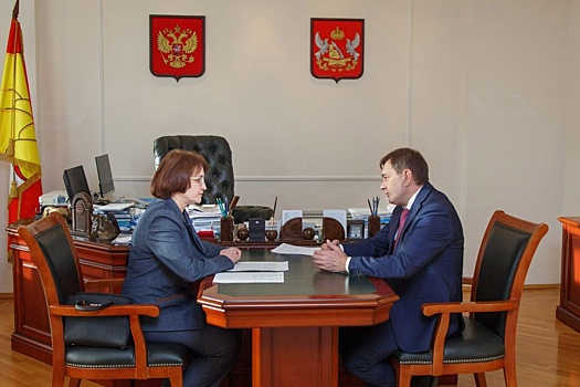 Спикер Воронежской облдумы Владимир Нетесов обсудил с руководителем УФНС новый спецрежим налогообложения