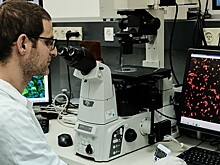 Названа главная причина возникновения рака