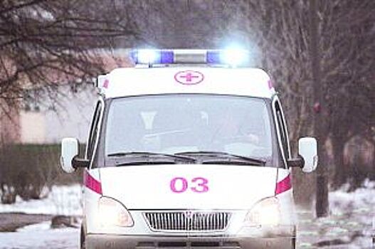 На спящую в коттедже девочку в Ленобласти обвалилась облицовка