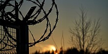 «Европейская колючка»: Польша, Литва и Латвия выстроили заборы «против всего живого» на границе с Беларусью