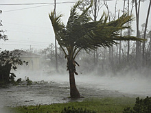 Жертвами урагана «Дориан» стали пять человек