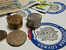 Саморегулируемым организациям хотят разрешить оплачивать налог по УСН из компенсационных фондов