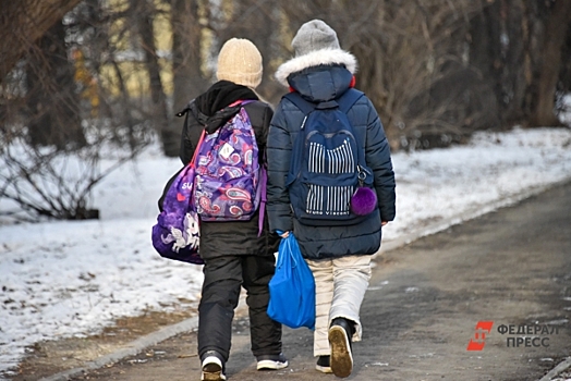 В Хабаровске в школах и детских садах ввели свободное посещение из-за непогоды