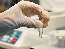 Раскрыты подробности о больном коронавирусом студенте ВШЭ