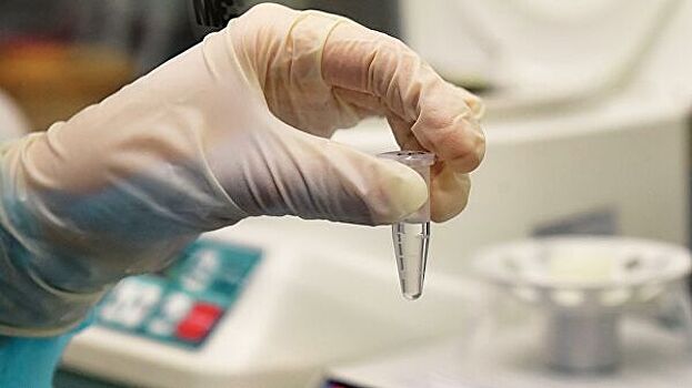В России проведено почти 11 млн тестов на коронавирус