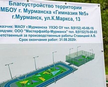 Комплексный подход к модернизации спортплощадок в Мурманске