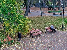 В Калининграде камеры «Безопасного города» появились в сквере на Киевской