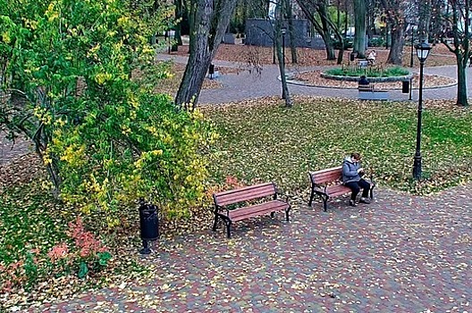 В Калининграде камеры «Безопасного города» появились в сквере на Киевской