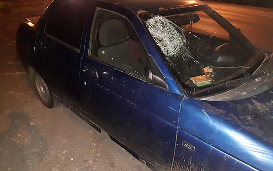 В Рязани ВАЗ сбил жителя Турлатова на М-5