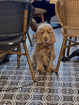 На фоне слухов о разводе Лариса Гузеева высказалась о ненависти в Сети: «Накопилось?»