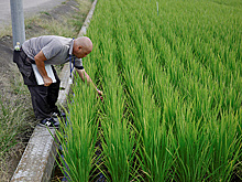 Мурашко назвал курский госмедуниверситет одним из лучших вузов в России