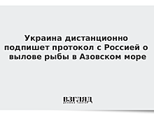Украина и Россия дистанционно подпишут протокол о вылове рыбы в Азовском море на 2020 год