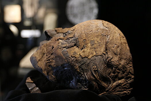 В Туве нашли мумию I века до н. э