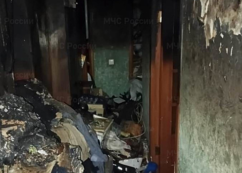 В пожаре на улице Билибина погиб пенсионер