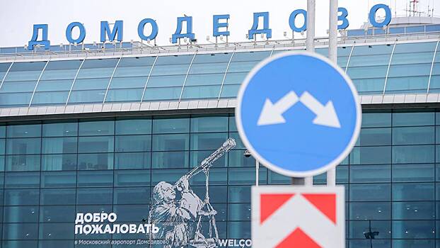 Что забывали пассажиры Домодедова летом