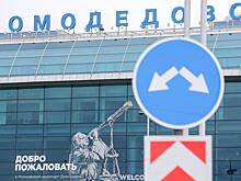 Что забывали пассажиры Домодедова летом