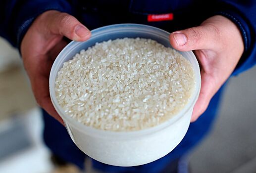 Мировые цены на рис выросли до трехлетнего максимума