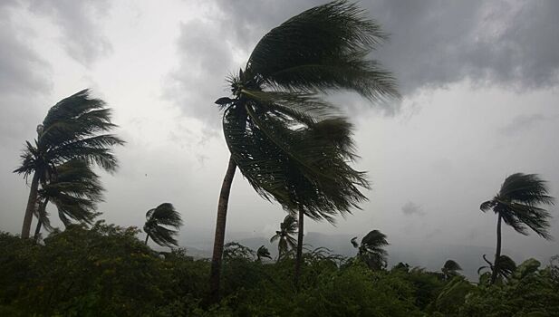 К Мексике приближается тропический шторм "Фернанд"