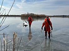 МЧС: два рыбака провалились под лёд в Калининградской области