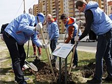 Более 200 тысяч тамбовчан выбрали электронный счет