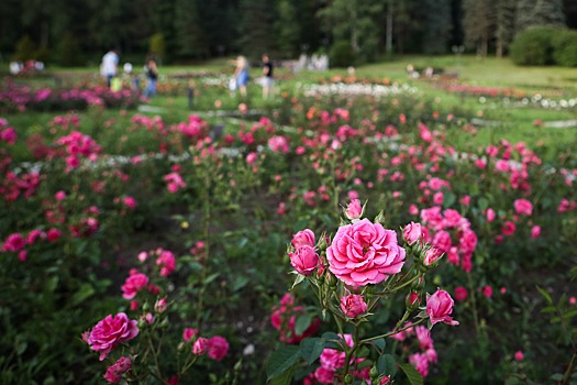 В Кисловодске — любить: пять самых романтических мест