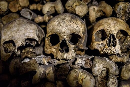 Зачем на самом деле древние славяне забирали с собой головы врагов
