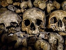 Зачем на самом деле древние славяне забирали с собой головы врагов