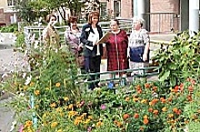 В муниципальном округе Савелки подвели итоги конкурса «Цветы у дома»