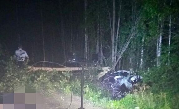 Водитель погиб во время страшной аварии в Костромской области