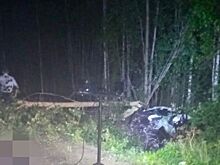 Водитель погиб во время страшной аварии в Костромской области