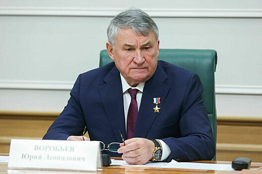 Сенатор Воробьев призвал выработать единый подход к кадетскому образованию