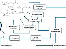 Ученые впервые обнаружили биомаркеры редкого заболевания легких в выдыхаемом воздухе