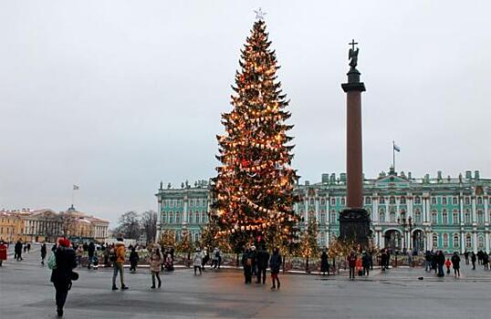 Петербуржцы назвали елку на Дворцовой площади облезлой