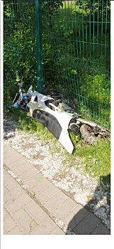 В Удмуртии молодая парочка на мотоцикле врезалась в забор