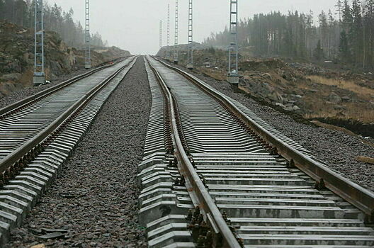 В российском регионе задержали поезд из-за диверсии