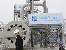 Аналитик раскрыл причины остановки строительства «Северного потока — 2»