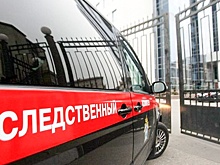 Задержан второй аниматор смертельного квеста в "Доме ужасов" в Махачкале