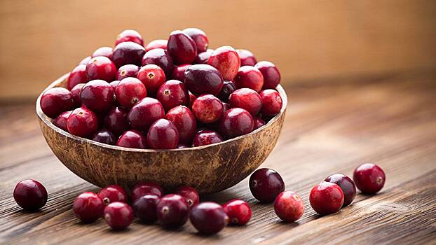 Биолог рассказал, какие ягоды и травы пришло время собирать в лесах под Петербургом