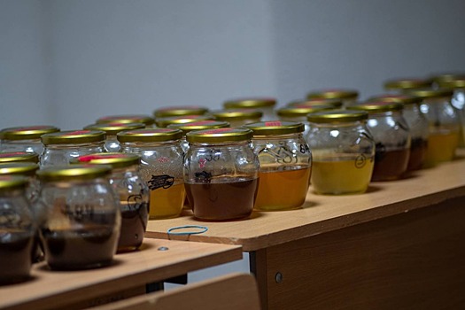 Пасечник из Северной Осетии победил на форуме пчеловодов в КЧР