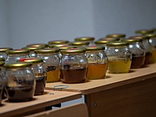 Пасечник из Северной Осетии победил на форуме пчеловодов в КЧР