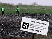 Киев отверг выводы "Алмаз-Антея" о крушении Boeing в Донбассе