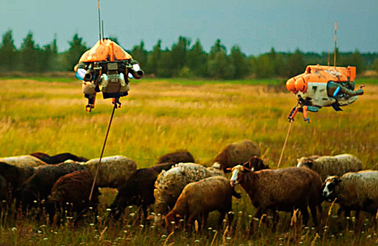 Рязанская кибердеревня на Марсе взорвала Сеть