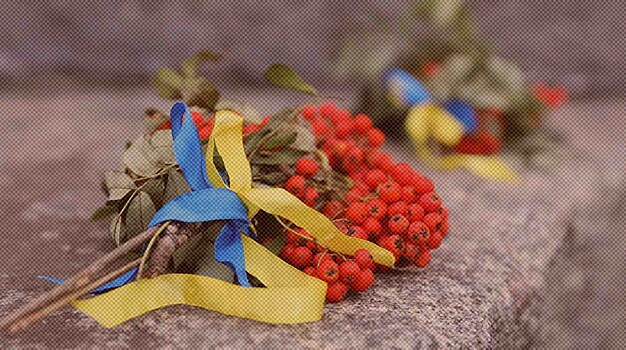 День независимости Украины в Москве и Киеве: как праздник отметили на родине и за рубежом