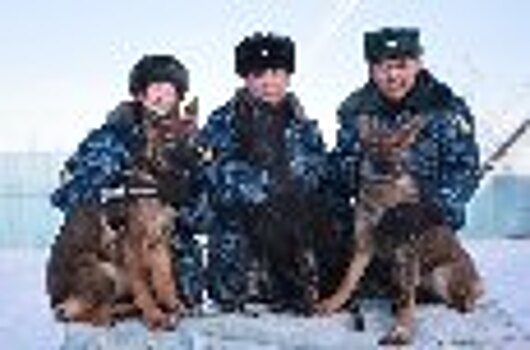 В УФСИН России по Республике Саха (Якутия) приступят к службе новые щенки немецкой овчарки