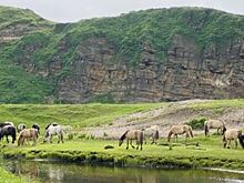 На Сахалине потеплеет на следующей неделе