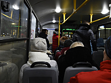В Омске к 2024 году сократят число общественного транспорта с 1500 до 1200 единиц
